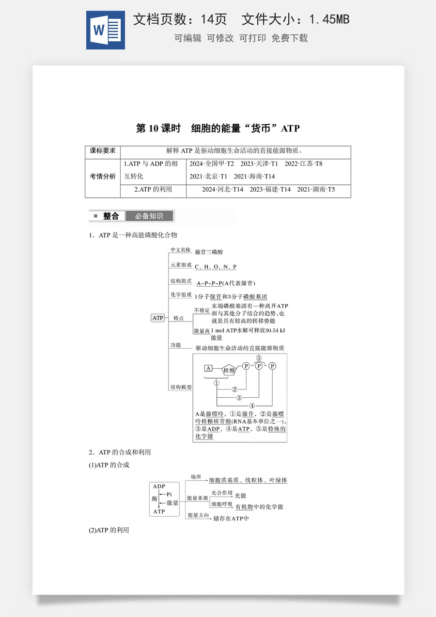 高中-高考总复习-生物-第三单元　第10课时　细胞的能量“货币”ATP.docx